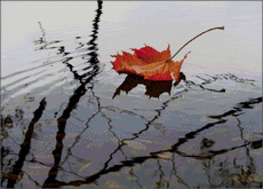 Кленовый лист - природа, осень, река - предпросмотр