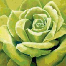 Оригинал схемы вышивки «розочка» (№857646)