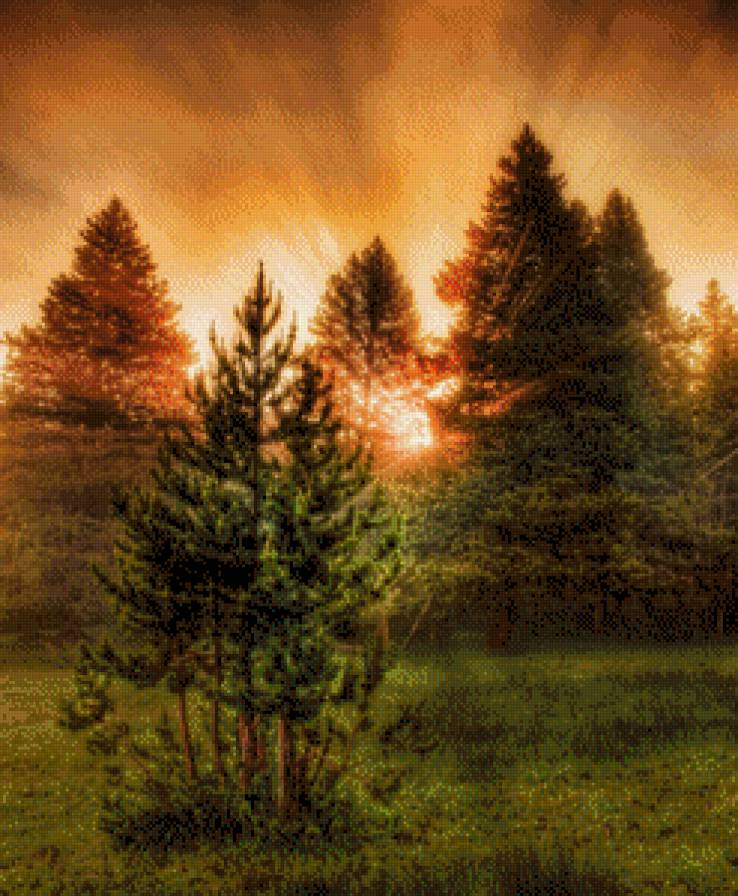 Свет в лесу - свет, лес - предпросмотр