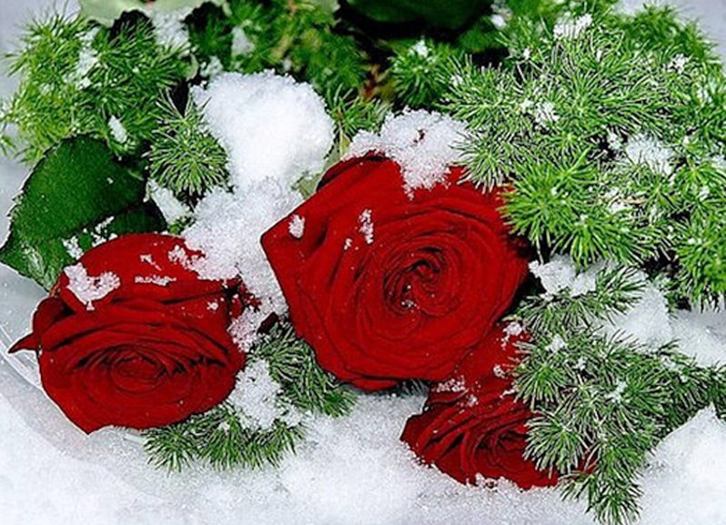 №857801 - оригинал