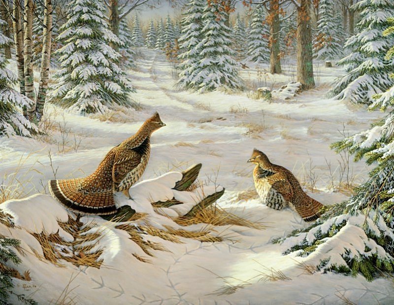 Птицы на снегу - зима - оригинал