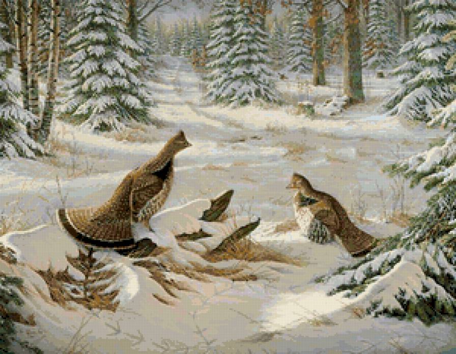 Птицы на снегу - зима - предпросмотр