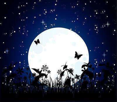 Ночь - ночь, бабочки - оригинал