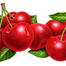 Оригинал схемы вышивки «Cherry» (№857996)