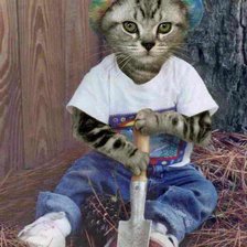 Схема вышивки «Котик-трудяга»