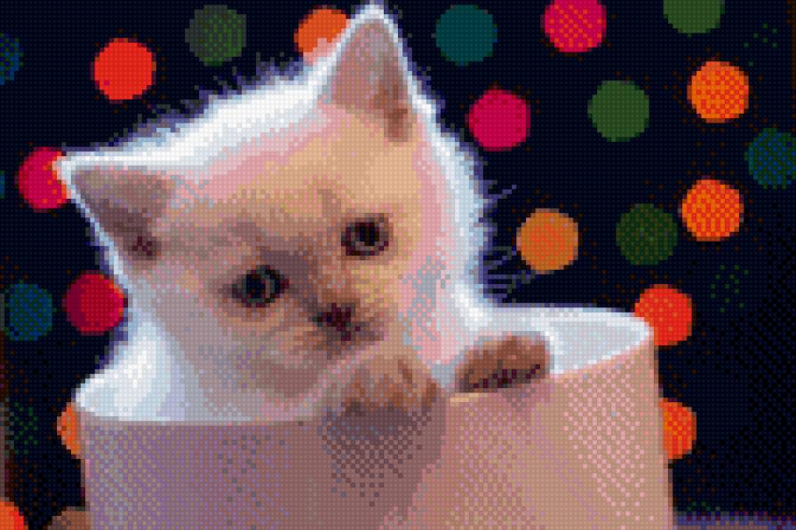 Котик в бокале - предпросмотр