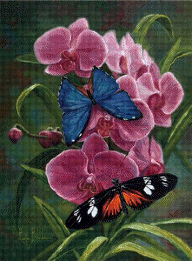 №858220 - предпросмотр