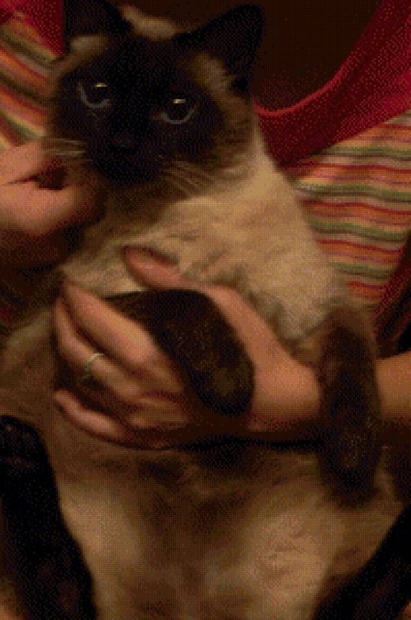 котик мой - предпросмотр