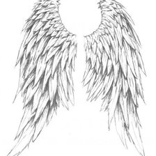 Оригинал схемы вышивки «Крылья 2» (№858399)