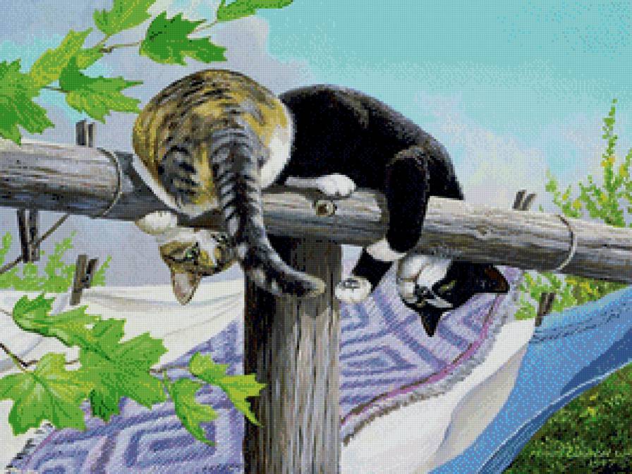 котики - коты, лето, детское, кошки, игра, котики, животные - предпросмотр