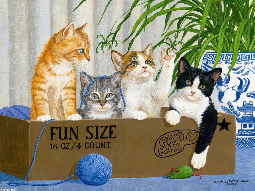котики в коробке - коробка, котики, животные, коты, кошки, игра, детское - оригинал