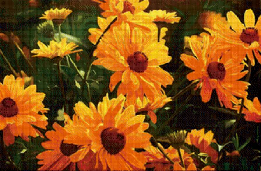 цветы солнца - цветы - предпросмотр
