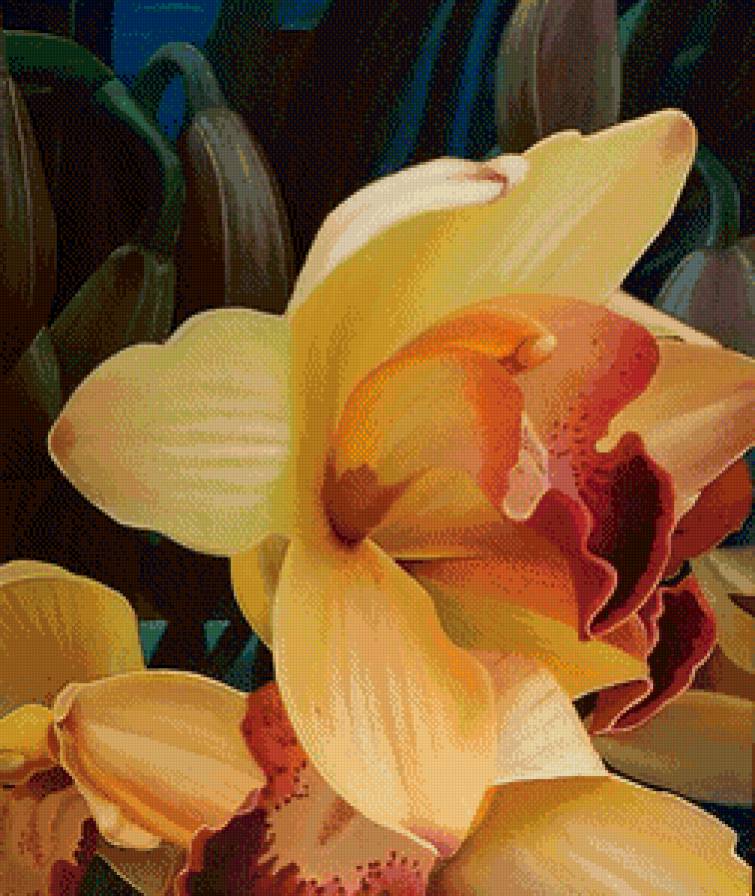 орхидея - цветы - предпросмотр