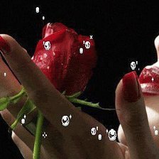 Схема вышивки «роза»