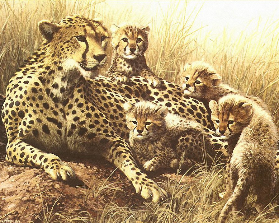 мать с детьми - гепард, мать, животные, дети, кошки, природа, материнство - оригинал