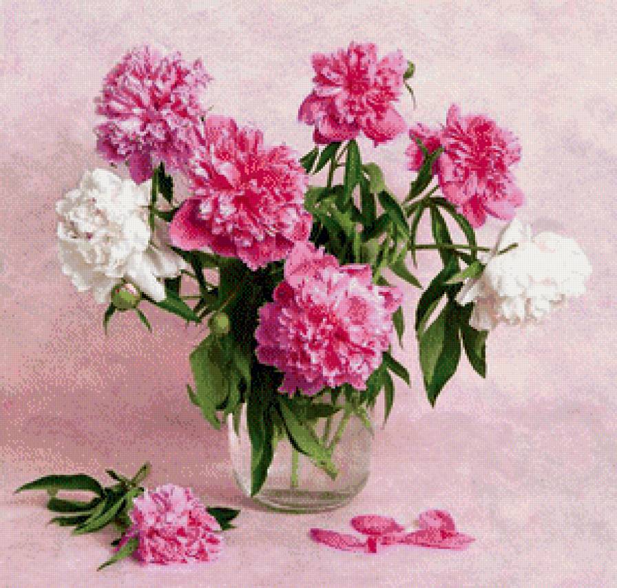 пионы - букет, цветы, пионы - предпросмотр