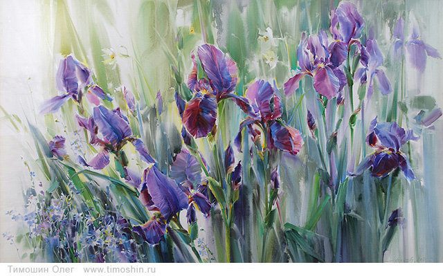ирисы - ирисы, цветы - оригинал
