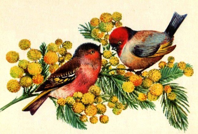 №859358 - оригинал