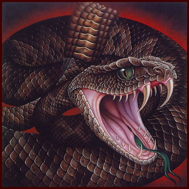 гремучая змея - картина - оригинал