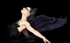 черный лебедь - оригинал