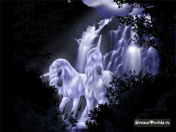 №859505 - оригинал