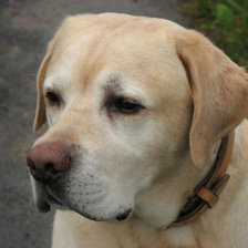 Схема вышивки «ричи»