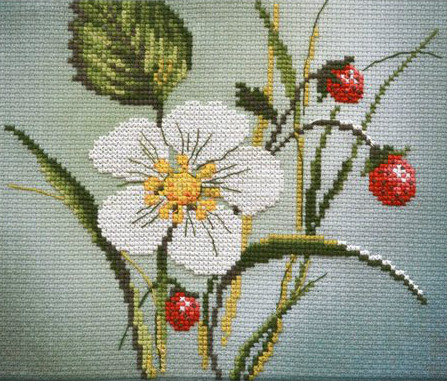 земляника - натюрморт - оригинал