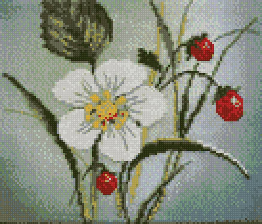 земляника - натюрморт - предпросмотр