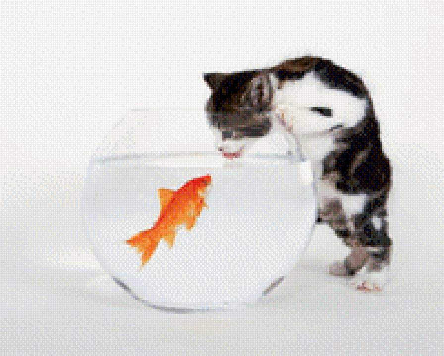 рыба - предпросмотр