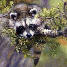 Схема вышивки «енот»