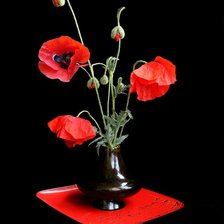 Схема вышивки «маки»