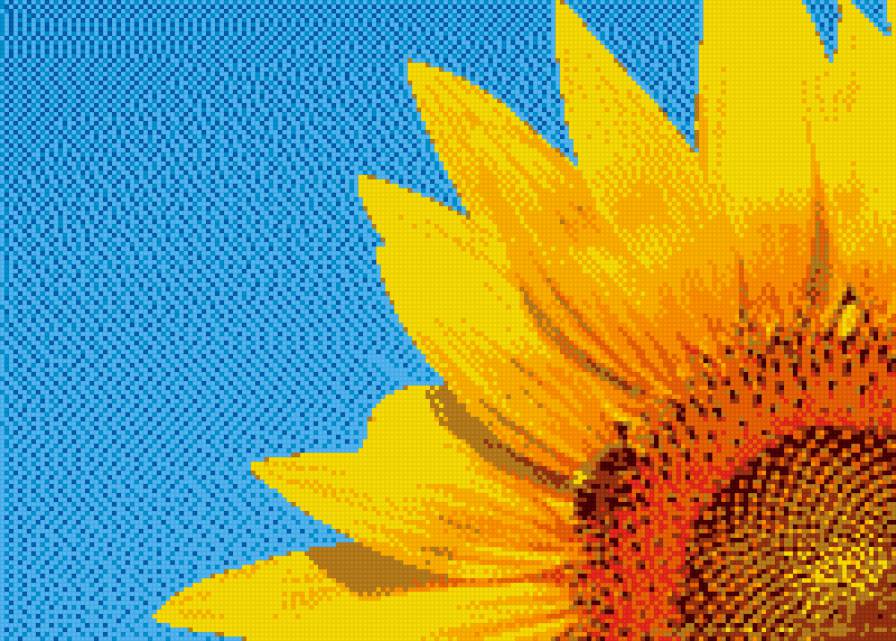 Подсолнух - небо, солнце, поле, подсолнух, лето - предпросмотр