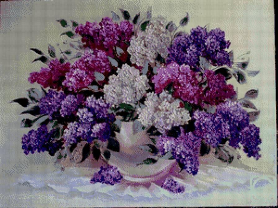 Букет сирени - ваза, букет, сирень, цветы - предпросмотр