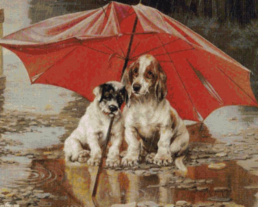 Собаки под дождем - животные, дождь, собаки - предпросмотр