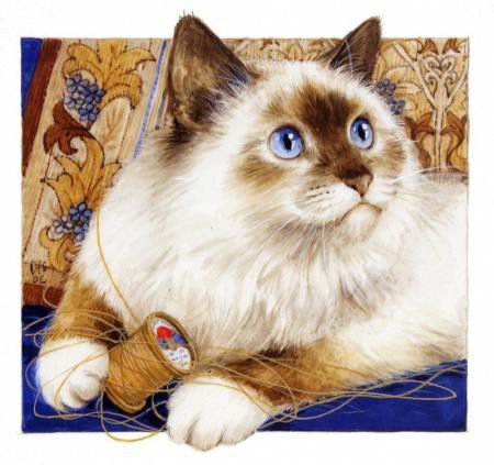 серия ,,кошки" - животные.кошка. - оригинал