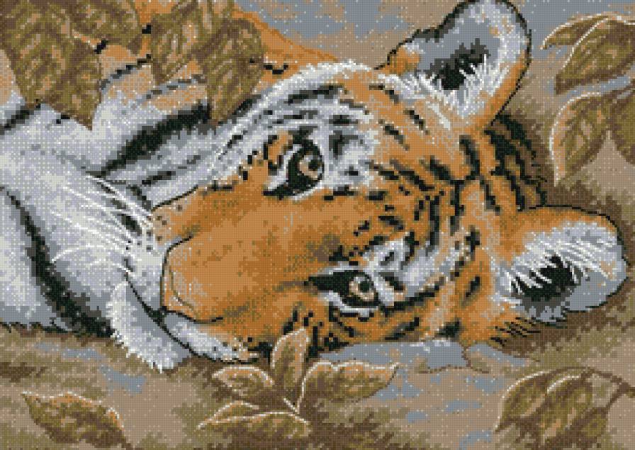 111 - предпросмотр