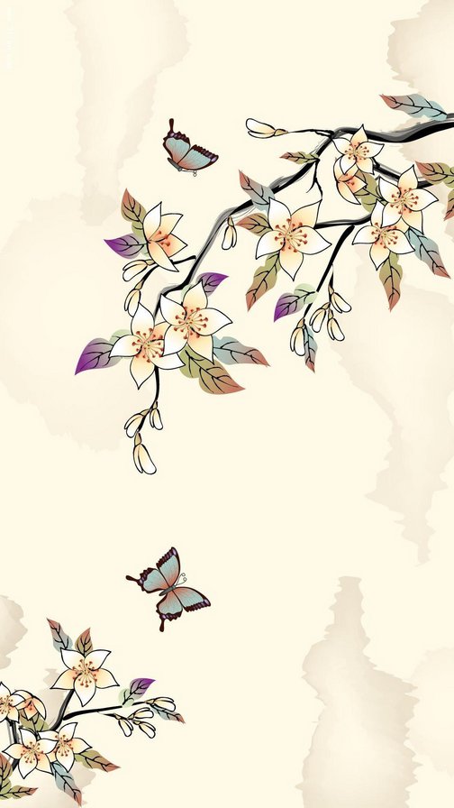 бабочк - оригинал