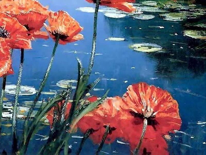 маки ч.4 (ДМС) - оригинал