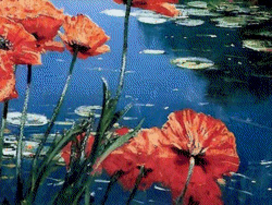 маки ч.4 (ДМС) - предпросмотр