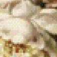 Предпросмотр схемы вышивки «Нежный букет» (№860807)