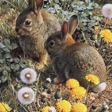 Схема вышивки «зайчата»