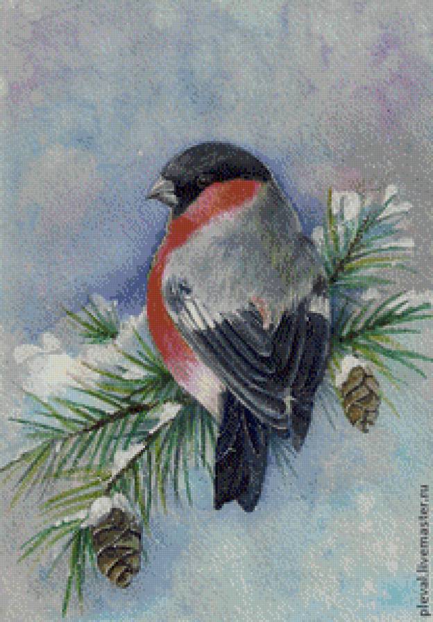 серия "птицы" - птица.снигирь - предпросмотр