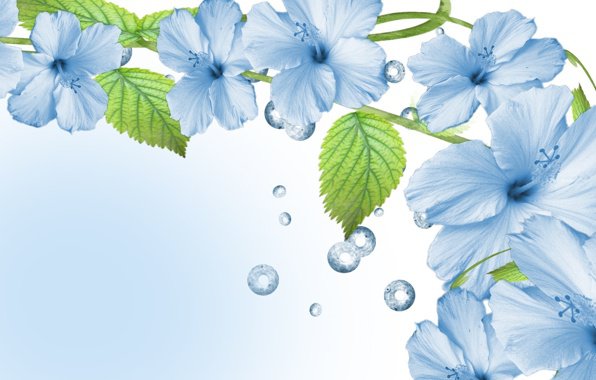 цветы - оригинал