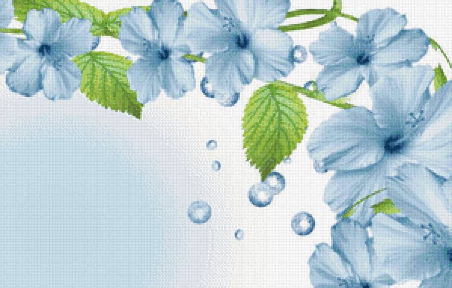 цветы - предпросмотр