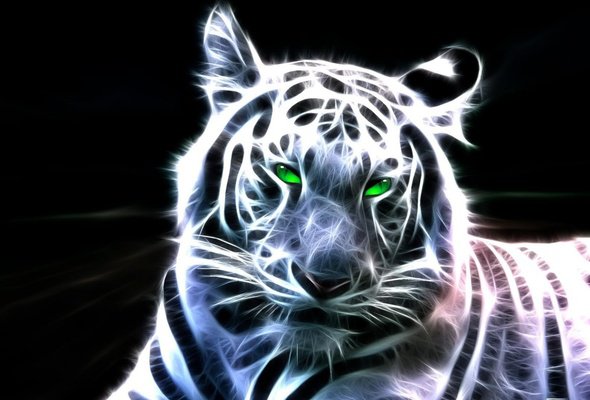 тигр - животные - оригинал