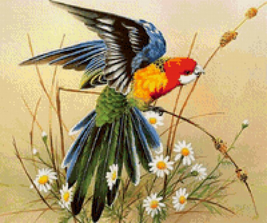 птичка - птичка - предпросмотр