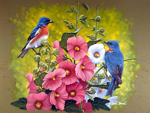 цветы и птицы - цветы и птицы - оригинал