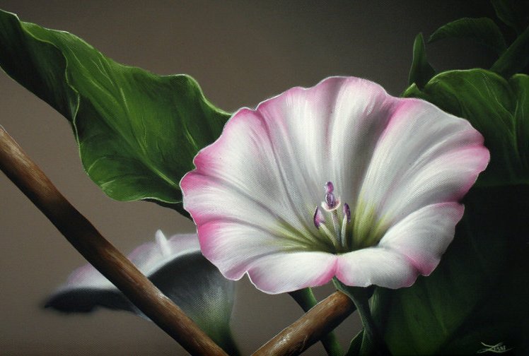 №861437 - оригинал