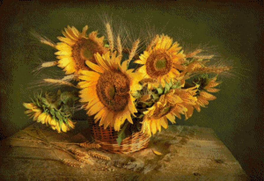 подсолнухи - предпросмотр