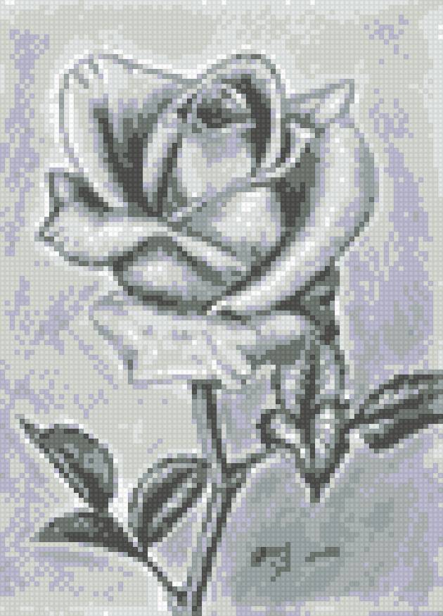 роза монохром - предпросмотр